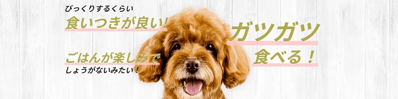 �����̌��N����ɍl�����u�J�i�K���h�b�O�t�[�h�`�L���v���T�C�g